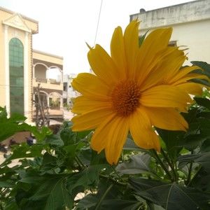 Meet your Posher, Ashutosh